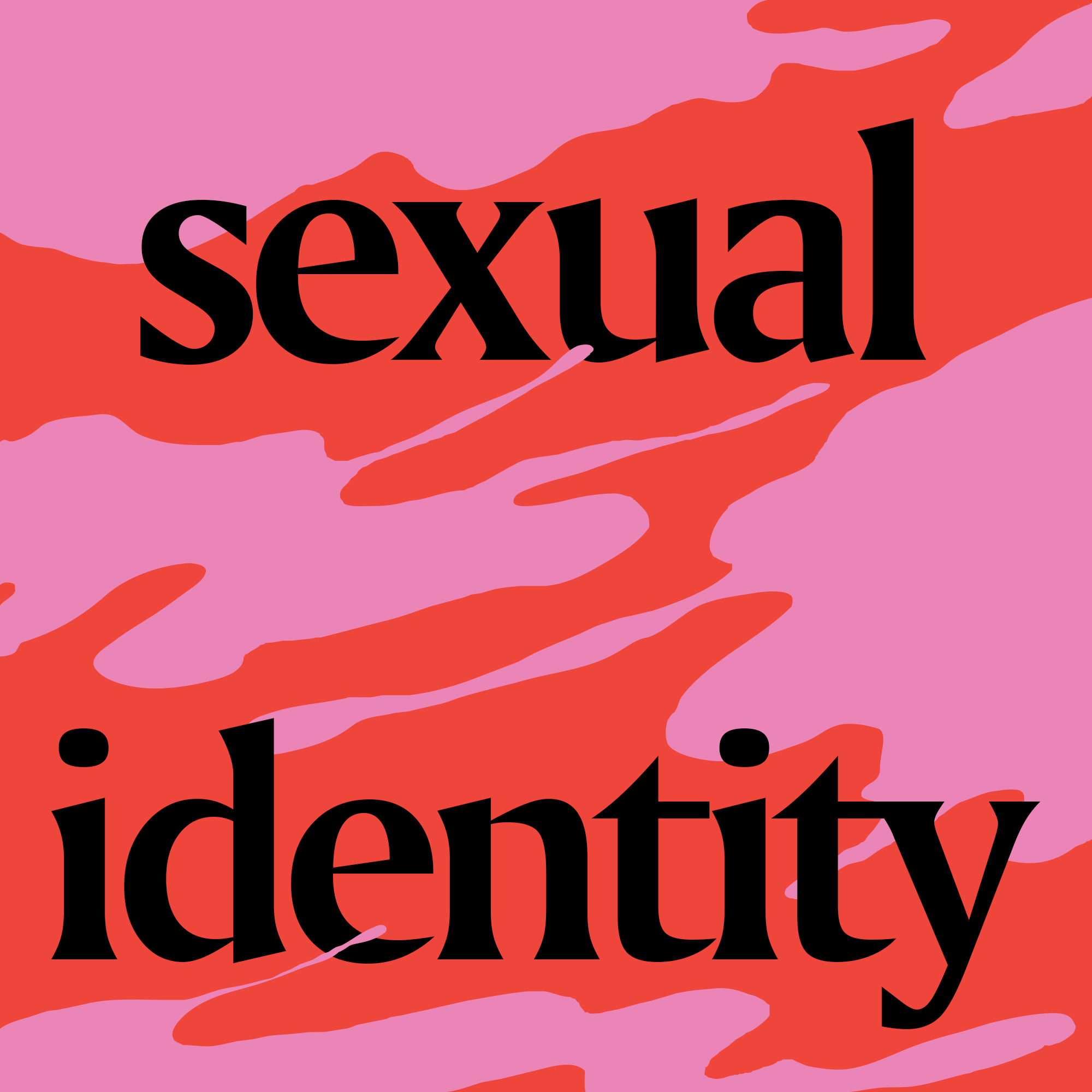 Ionut-Radulescu-Sexual-Identity