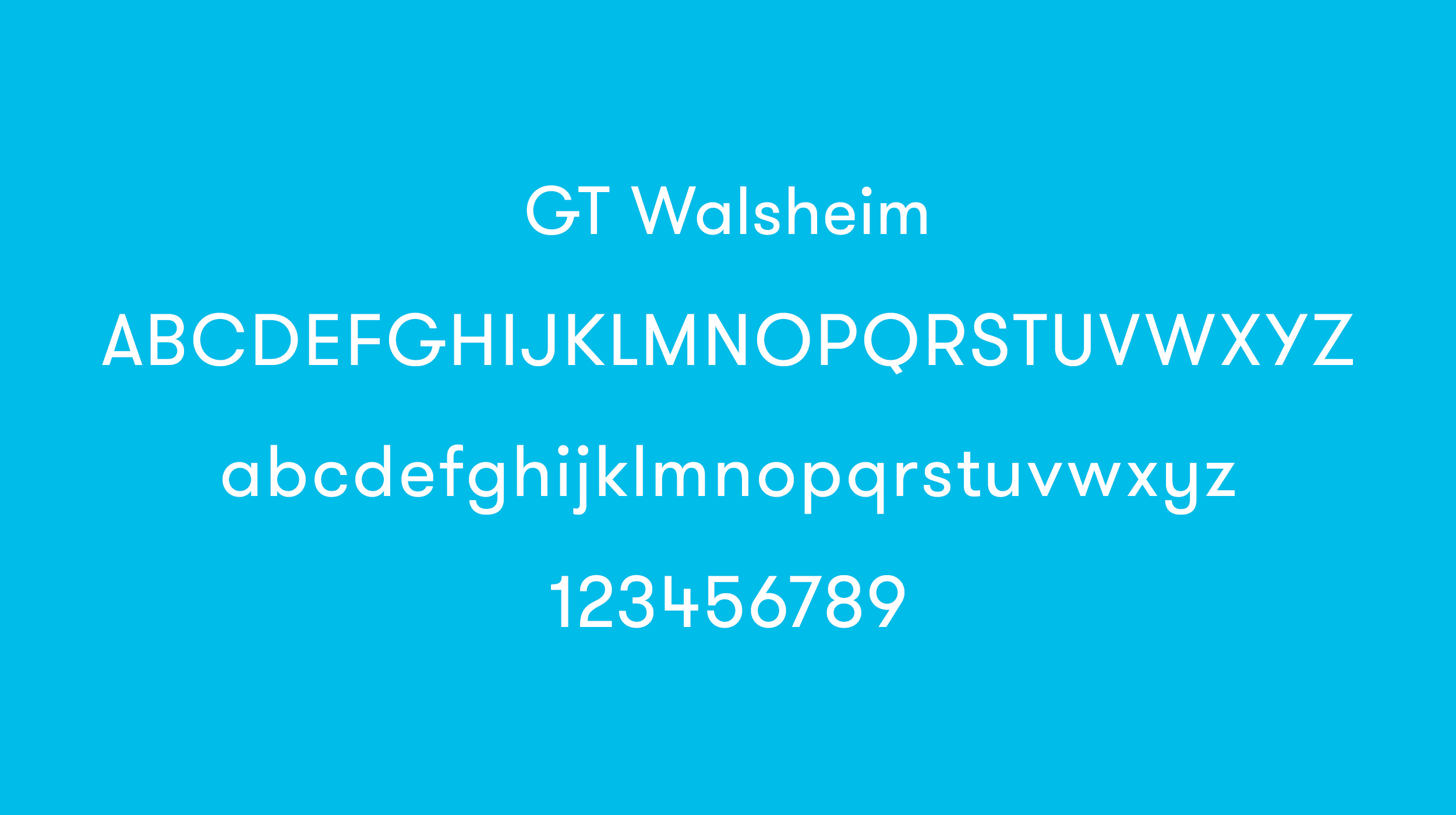 GT-Walsheim-type-system