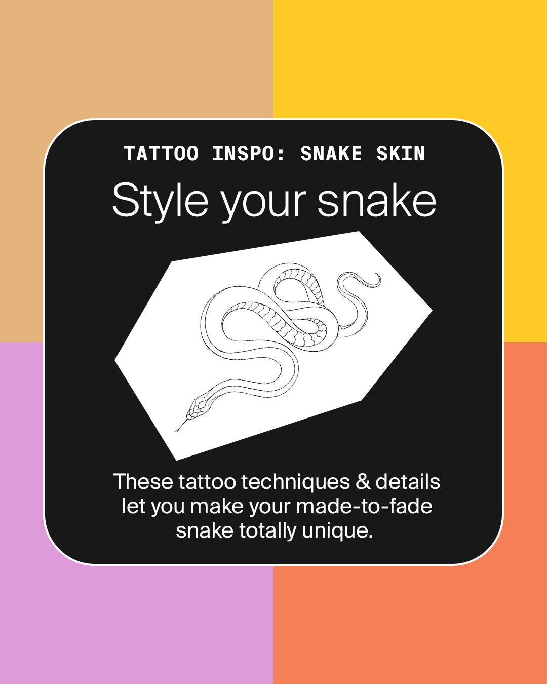 Snake-Design-slide-01